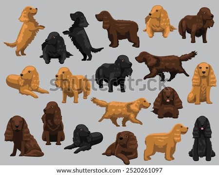 Similar – Foto Bild Gassigehen mit Cocker spaniel