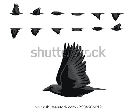 Raven Bird Flying Animation Sequence Cartoon Vector