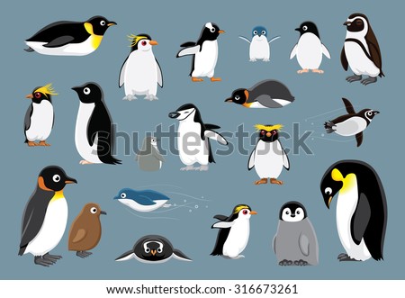 Various Penguins Cartoon Vector Illustration