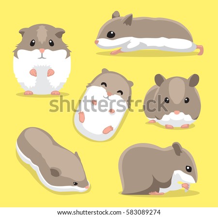 Cute Hamster Poses Cartoon Vector Illustration