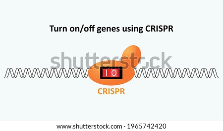 CRISPR method can silence or turn off genes and turn them back on leaving DNA sequence unchanged