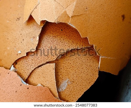 Similar – Image, Stock Photo Egg shells on a cream-coloured background. Kitchen concept.