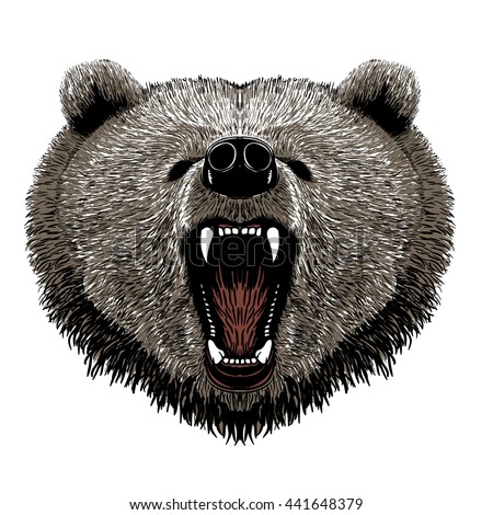 Bear Vector Illustration - 441648379 : Shutterstock