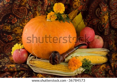 An autumn still life with pumpkin, corn, flowers, apples and a pipe