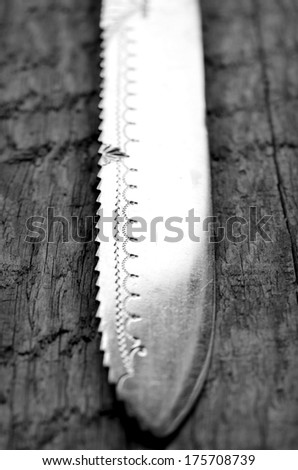 Black and white close up of an antique fish knife.