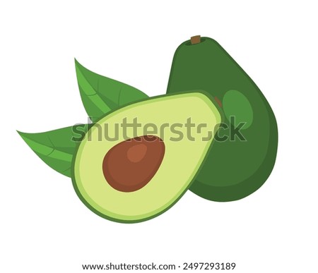 Avocado, half sliced avocado with green leaves vector illustration.