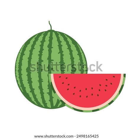 Watermelon. Fresh crunchy sweet and healthy red watermelon. whole and slice ripe watermelon vector illustration.