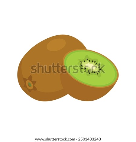 Kiwi. Fresh whole kiwi and half kiwi fruit vector illustration.