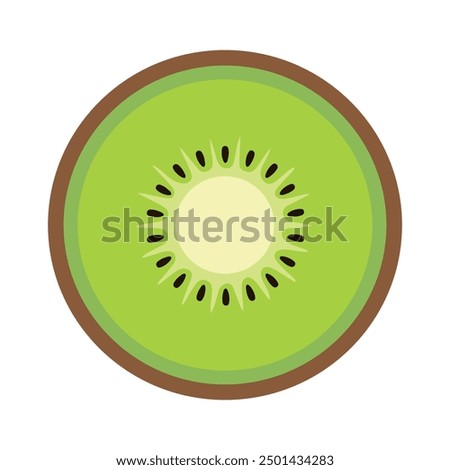 kiwi. fresh kiwi fruit slice vector illustration.