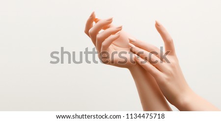 Similar – Image, Stock Photo Female hands with beautiful gray succulent