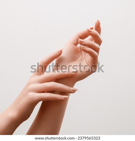 Similar – Image, Stock Photo Female hands with beautiful gray succulent