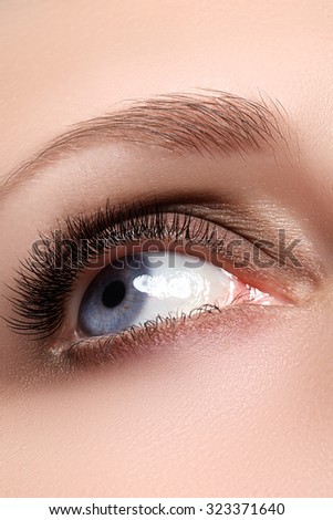 Elegance close-up of female eye with classic dark brown smoky make-up. Macro shot of woman\'s face part. Beauty, cosmetics and makeup.