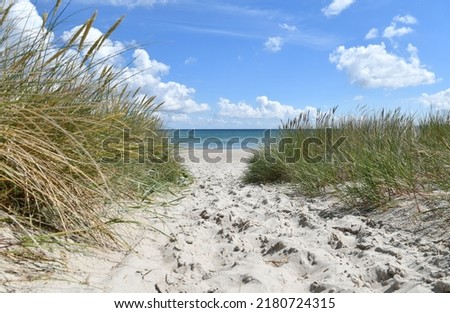 Similar – Image, Stock Photo Path through the dunes with a view of the beach of the North Sea