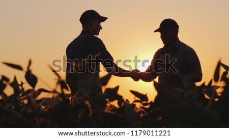 Image, Stock Photo Crop person with a bunch of fresh asparagus