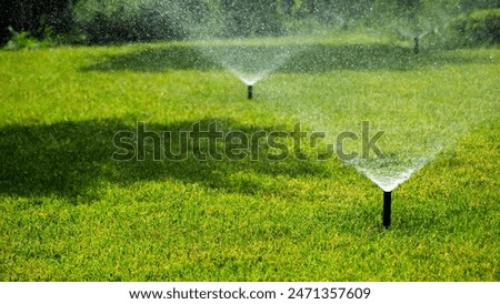 Similar – Image, Stock Photo Watering the lawn with water in summer. gardening concept. drops of water from the ameliorative irrigation system are fed to grow ing garden plants against a sunny day