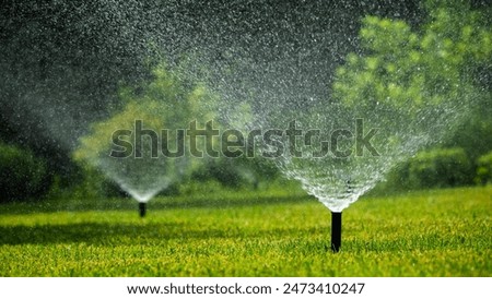 Similar – Image, Stock Photo Gardening setting with water can, shovel and potted yellow daffodils flowers at white background, front view