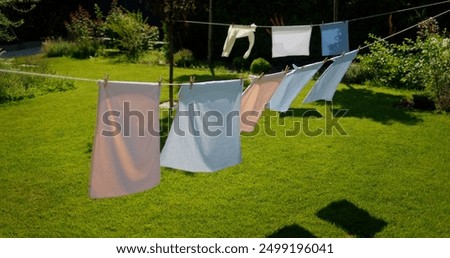 Similar – Image, Stock Photo washing day Grass Bushes