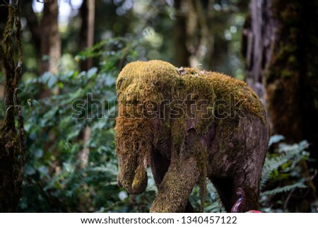 Similar – Image, Stock Photo Fur on moss Moss Nature