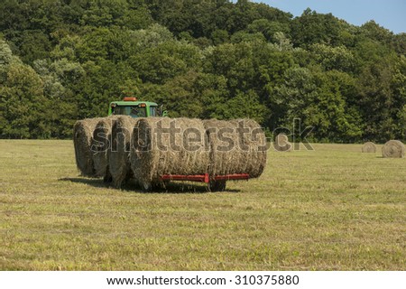 Rolls of hay being moved in hay field