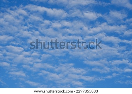 Similar – Image, Stock Photo Clump Flight morning sky