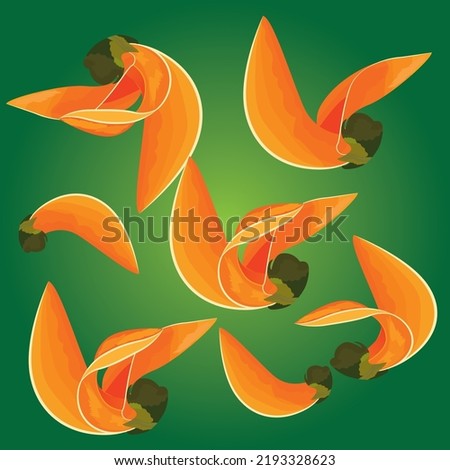 
Butea monosperma (Lam) Taub. It is orange with a layer of fins which Butea monosperma (Lam) Taub. and flowers Butea superba are similar.