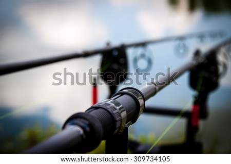 carp fishing rods