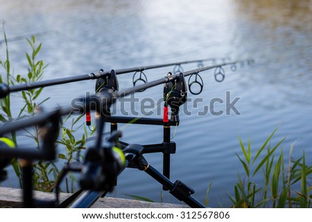 Carp fishing rods