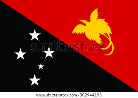papua new guinea flag vector