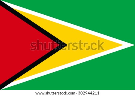 guyana flag vector