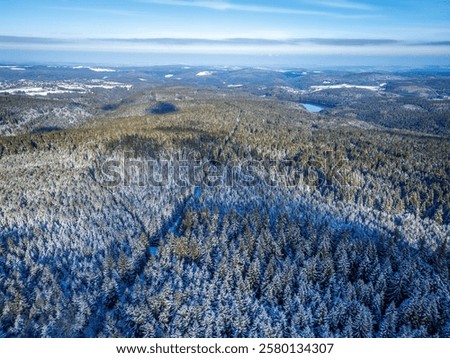 Similar – Foto Bild tief verschneiter lettischer Wald und Husky-Hund