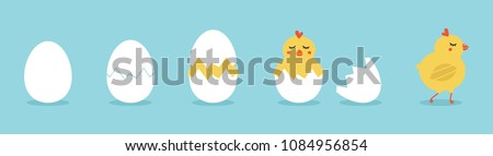 Cute vector cartoon illustration of step-by-step process baby chicken hatching from the egg. Funny and educational illustration for kids.