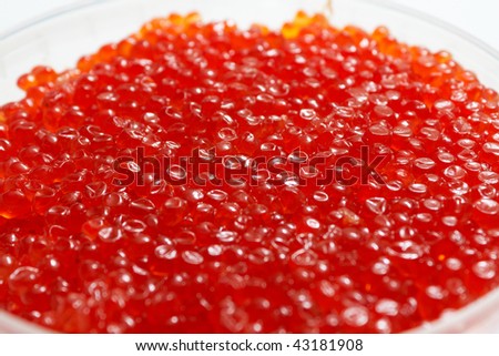 appetizing red caviar. Close up. limited depth of field