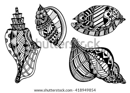 Vector Illustration Set Of Decorative Seashells Isolated On White