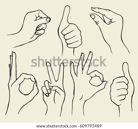 Set of Four Hands with Thumb Finger Up, Victory and O.K. Symbol Hands. Vector Illustration