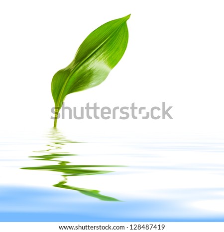 Green Leaf