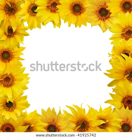 floral frame of sunflowers