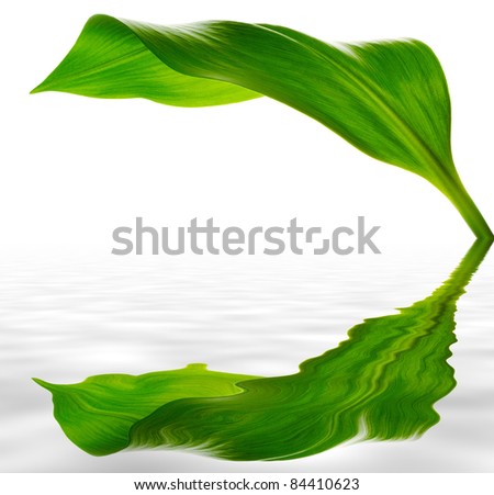 Green Leaf