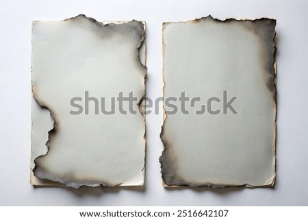 Similar – Image, Stock Photo Rectangular portrait of a woman