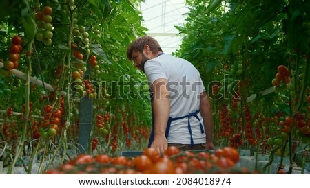 Similar – Image, Stock Photo Fresh harvest bio GMO-free potatoes