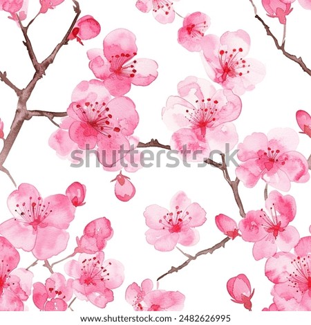 Similar – Foto Bild Sakura, Kirschblüte im Frühling, japanische Zierkirsche Prunus Serrulata Kanzan in einer Allee