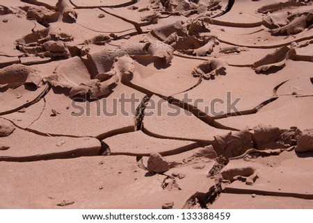 intricate pattern of cracks in the mud can be used as background
