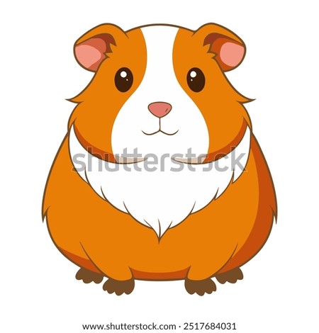 Cute Guinea Pig Sitting Up