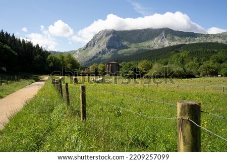 Similar – Foto Bild Kühe auf einem Pass in den Allgäuer Alpen