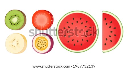 vector illustration of exotic fruits. set