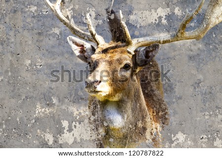 Artistic image with background texture deer head