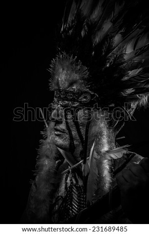 tribe Native, American Indian chief with big feather headdress