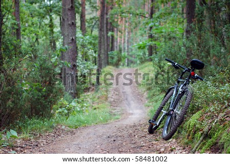 Mountain bike on the forest path.