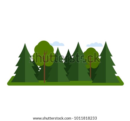 Coniferous forest mixed with deciduous forest. flat vector illustration isolated on white background