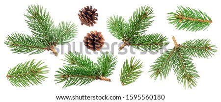 Similar – Image, Stock Photo fir cones