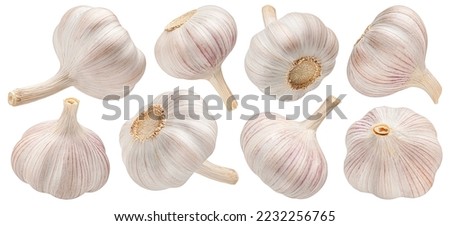 Garlic isolated on white background, collection Сток-фото © 
